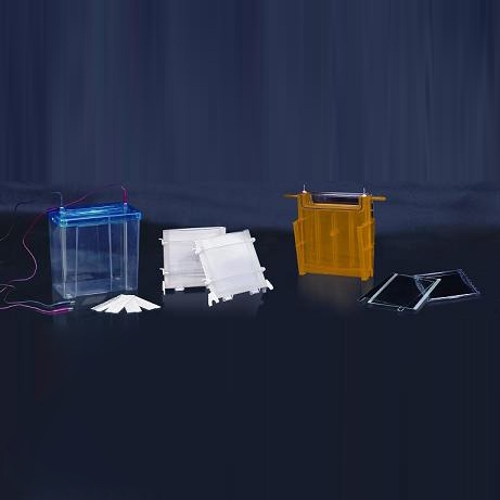 һ˫ֱӾDYCZ-24F